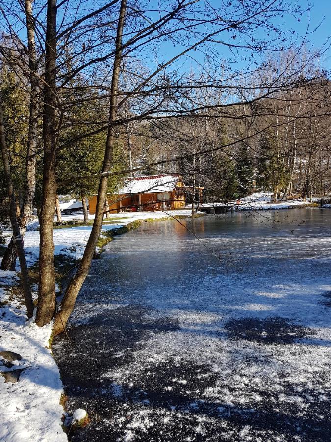 Insolite Chalet de pêche Sérénité - Bien Etre Ban-sur-Meurthe-Clefcy Esterno foto
